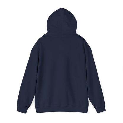 "Can't Stop, Won't Stop" P.diddy hoodie