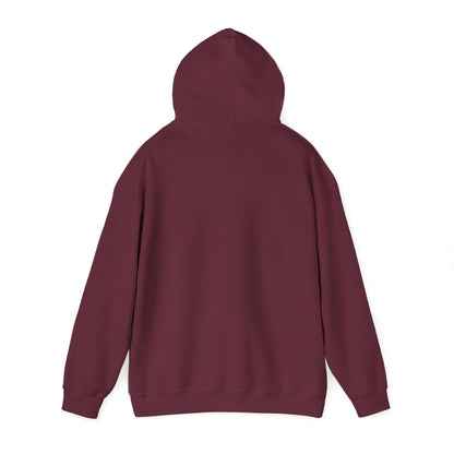"Can't Stop, Won't Stop" P.diddy hoodie