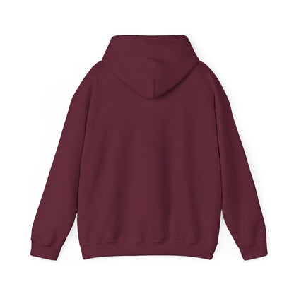 "Can't Stop, Won't Stop" P.diddy hoodie