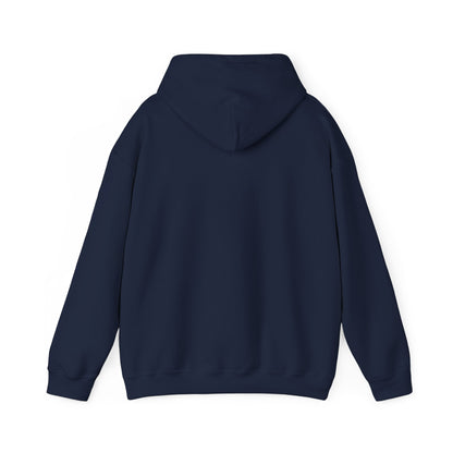 "Can't Stop, Won't Stop" P.diddy hoodie